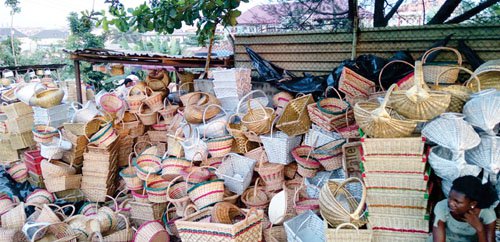 Recession hits Lagos cane village